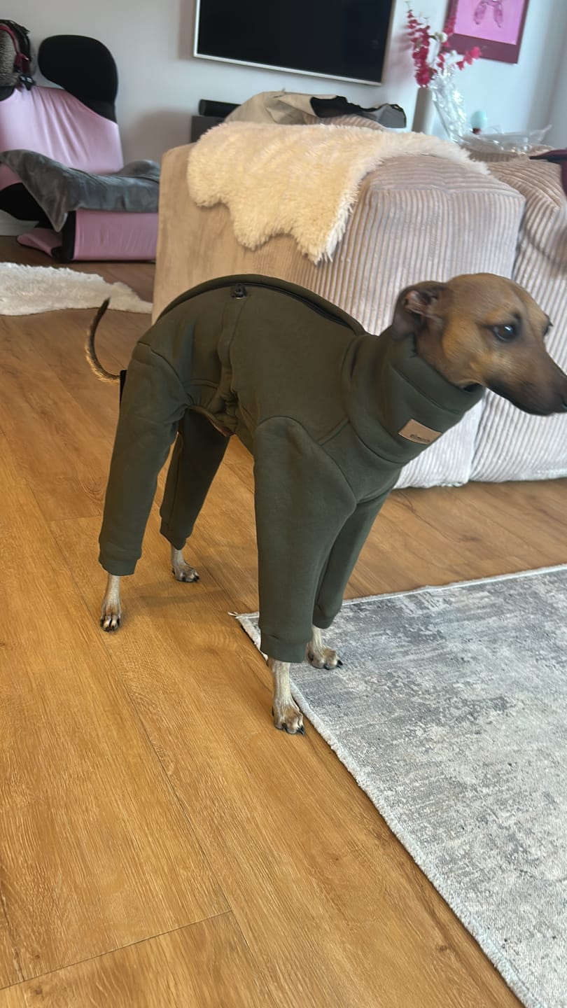 Customer photo review of Nuuk Mini "Mountain Green"