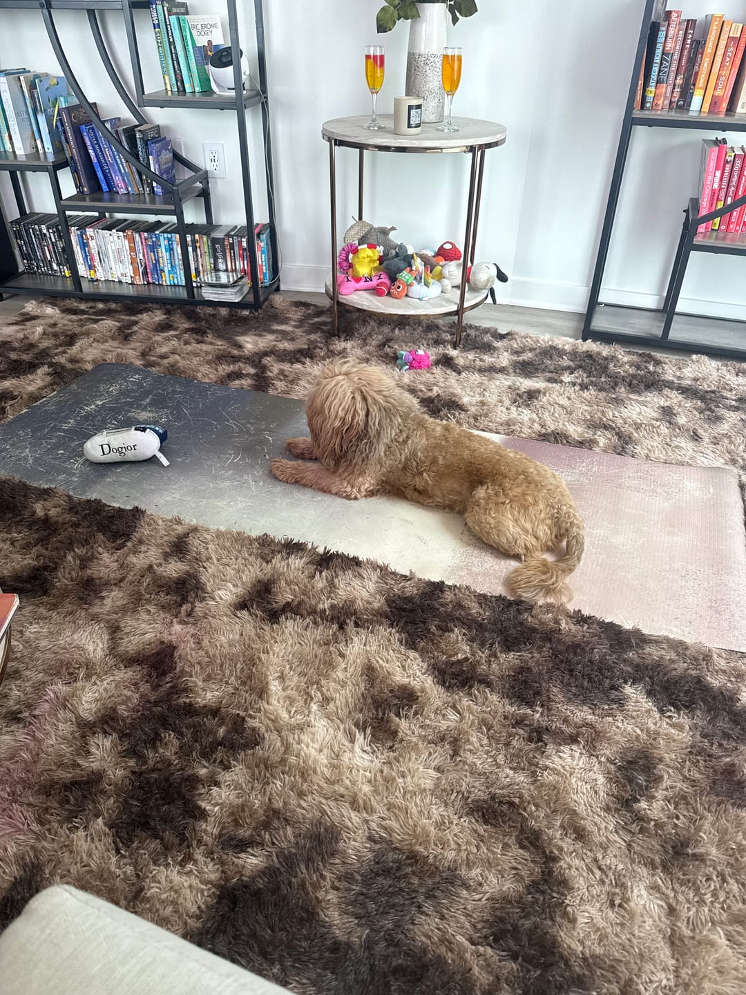 Customer photo review of Sagittarius Yoga Mat – Non-Slip Grip, Cushioned Support & Zodiac-Inspired Design
