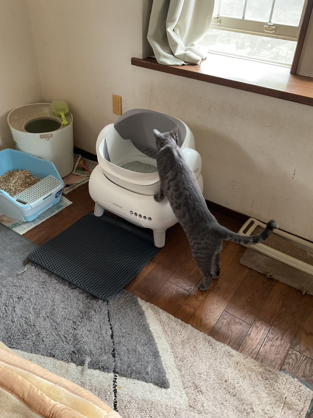 Customer photo review of Neakasa M1 Plus オープン型全自動猫トイレ