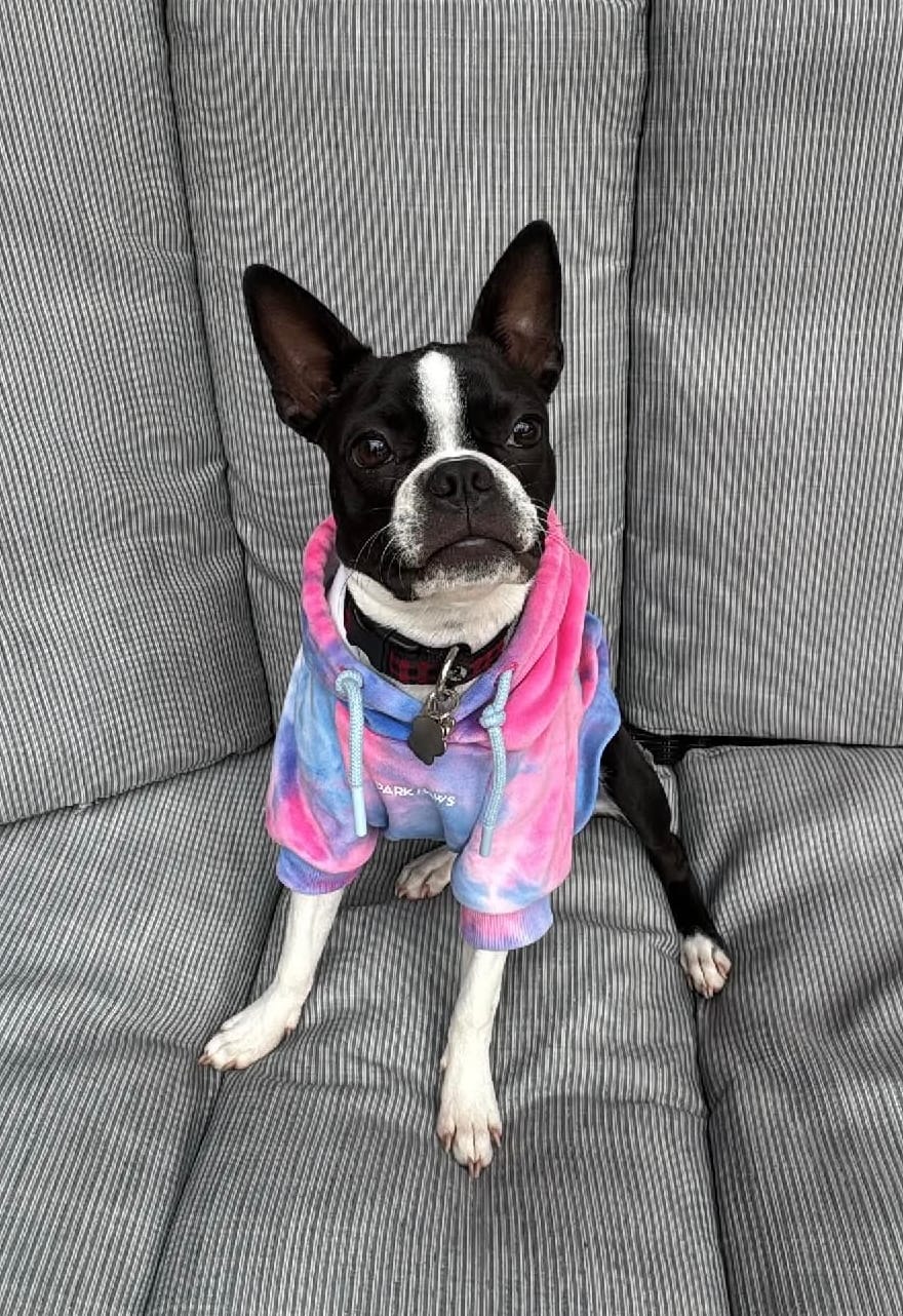 Customer photo review of Dog Pajama - Monkey Business