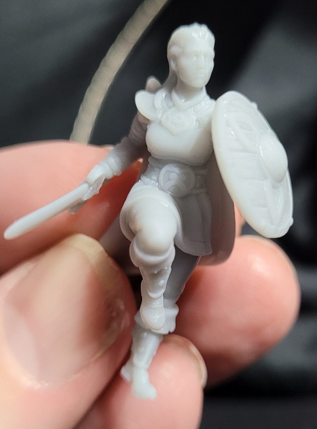 Customer photo review of Astrid, Maiden of the Shield