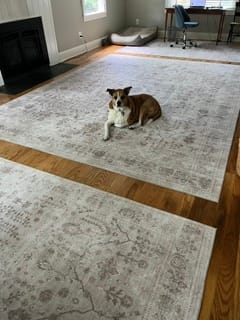 Customer photo review of Linden Washable Area Rug - Beige