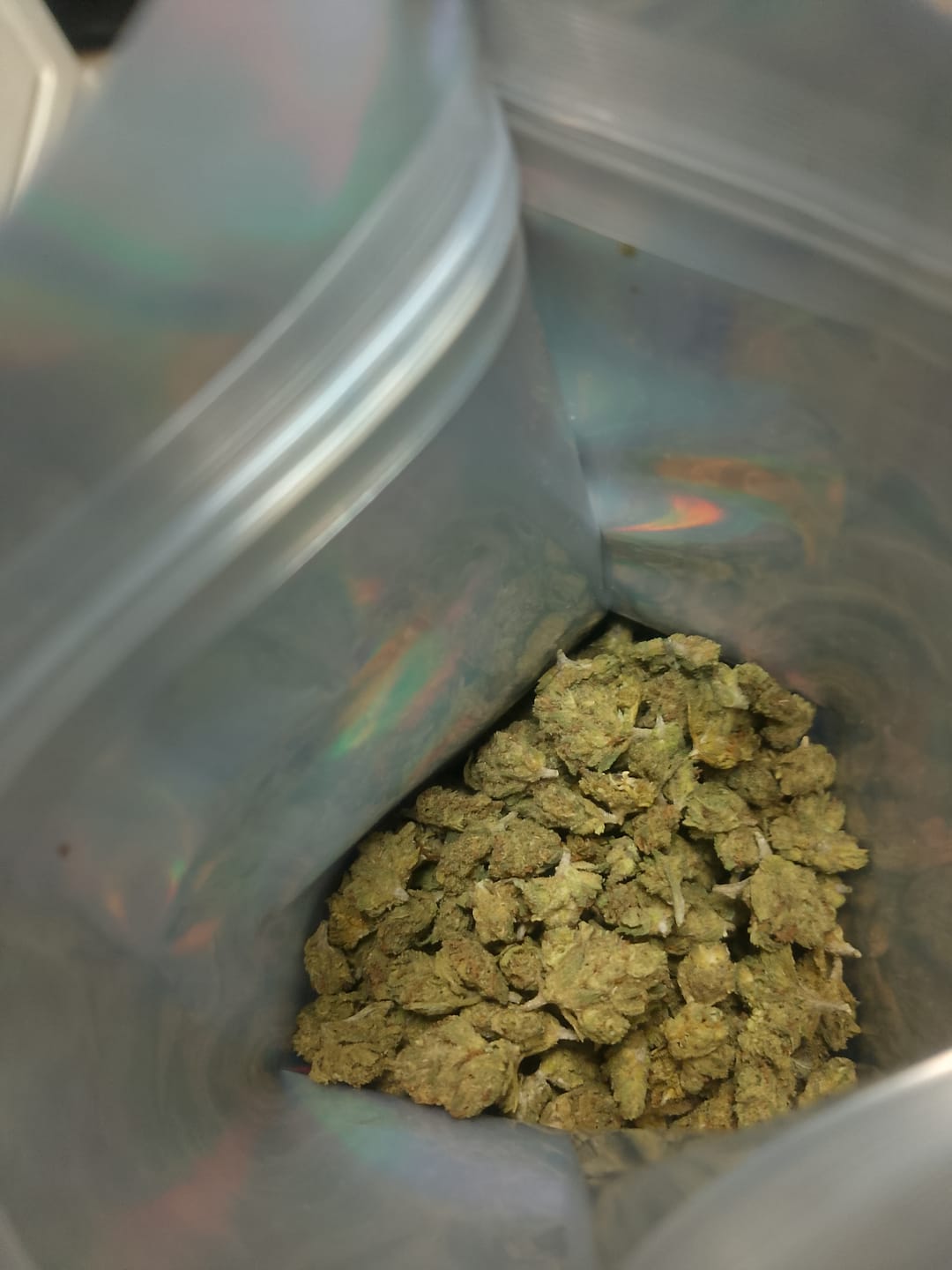 Customer photo review of KIND - Blue Dream - Micros - 28 Grams - Sativa