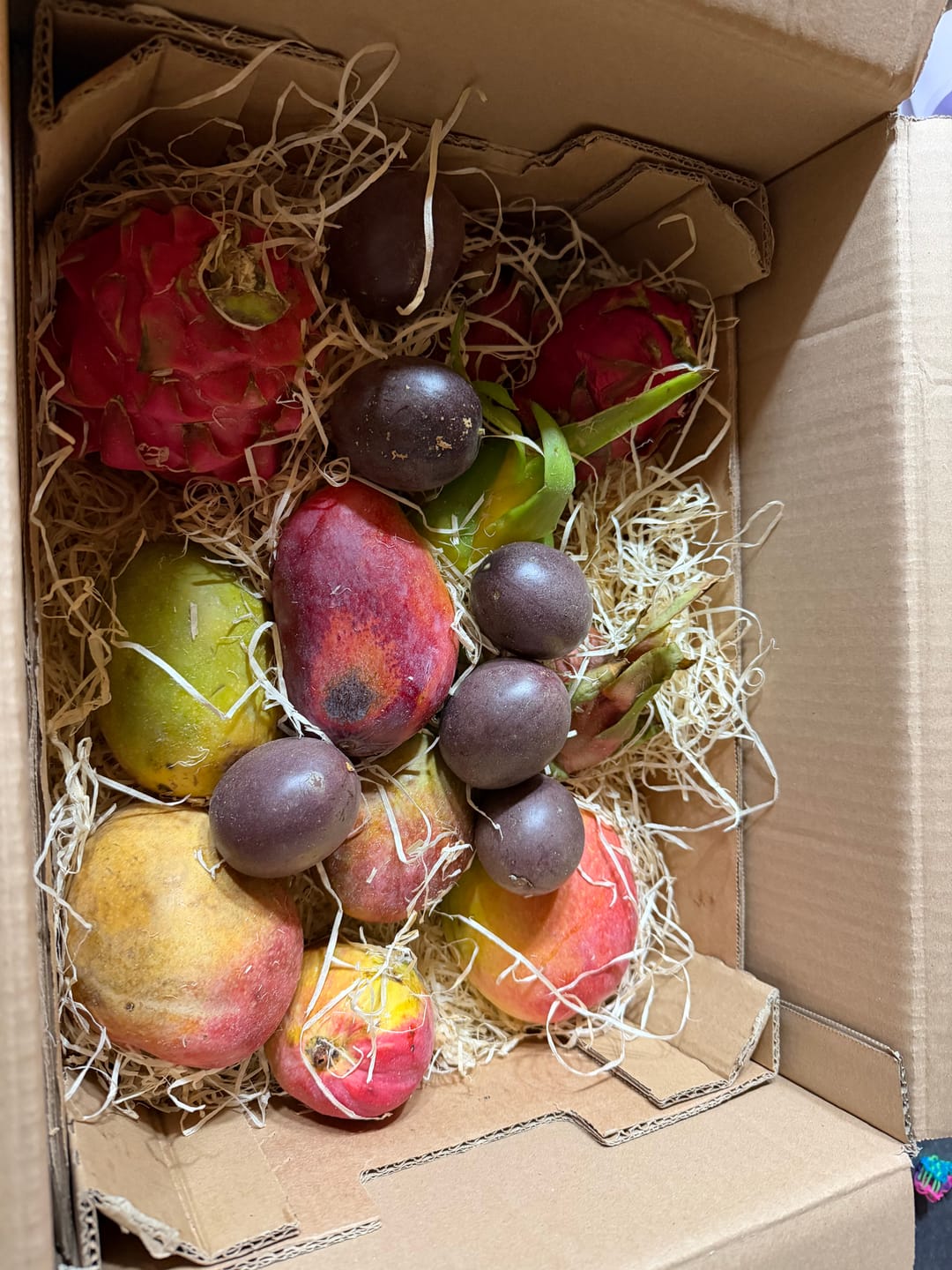 Customer photo review of Drachenfrucht bunter Mix Bio von Salvador Aktionswoche %