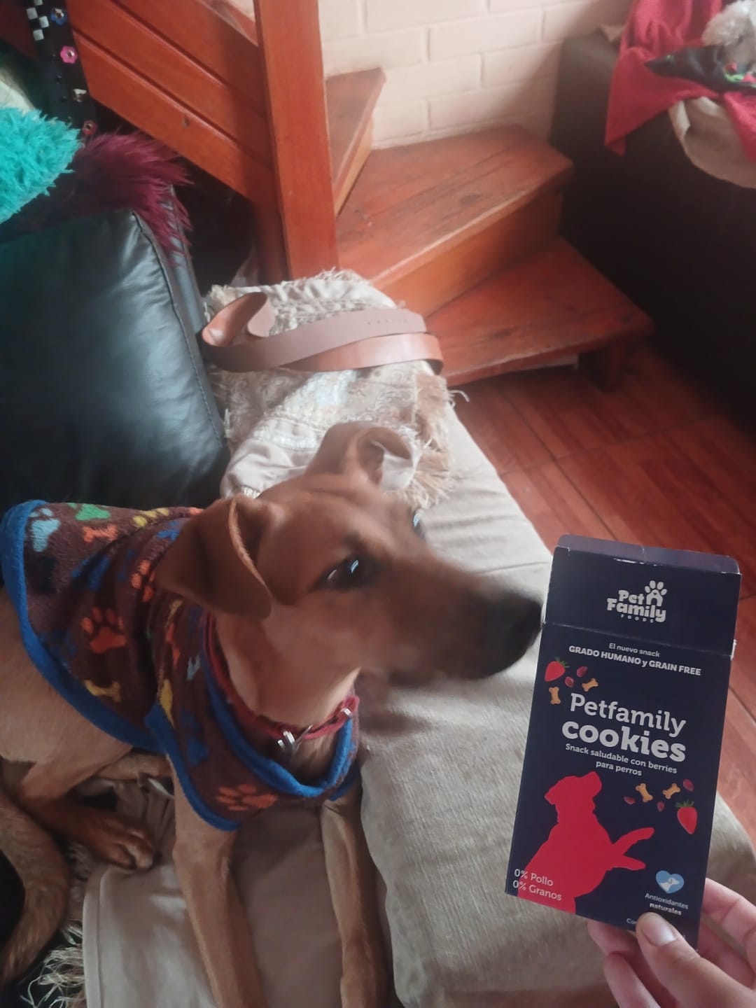 Customer photo review of PetFamily Cookies