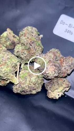 Customer video review of THC-A 34% Flower Do-Si-Dos x Gelato