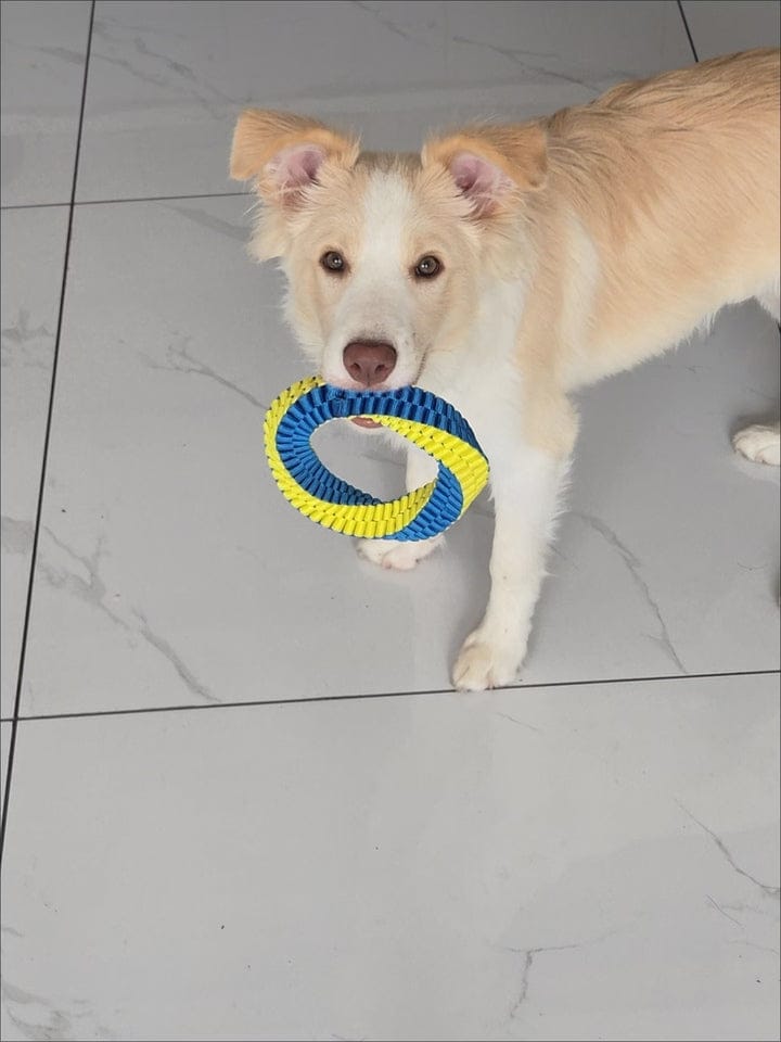 Customer photo review of Teeth Cleaning Ring