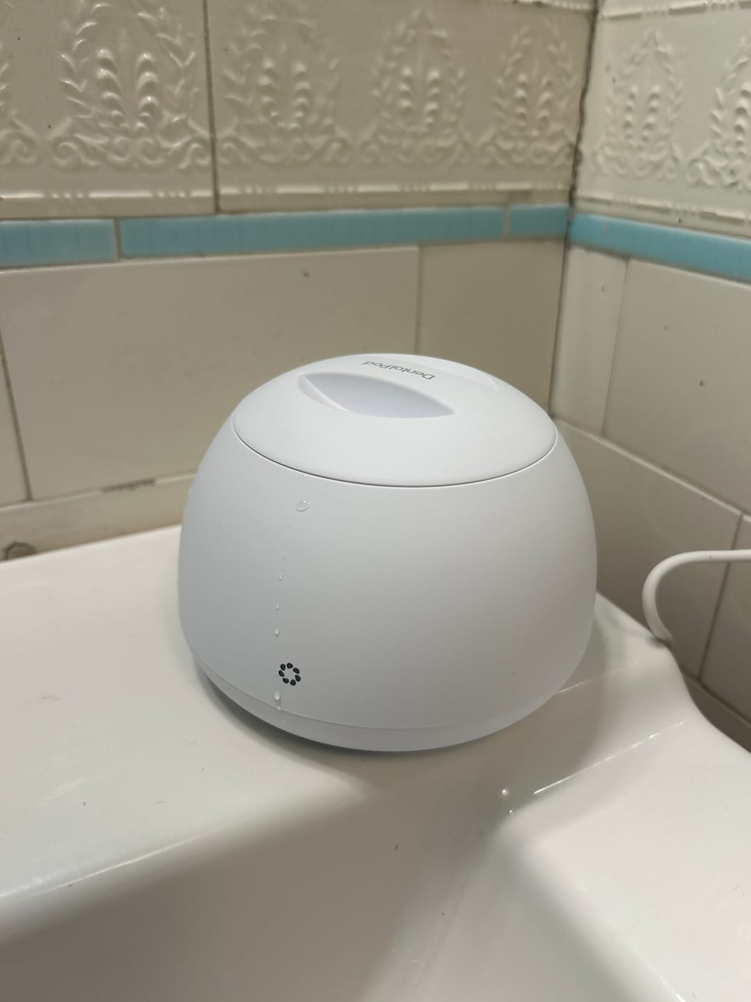 Customer photo review of Dental Pod