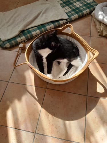 Kunden-Fellnest Katzenkorb in beige, in dem eine schwarz-weiße Katze gemütlich auf gefliestem Boden liegt.