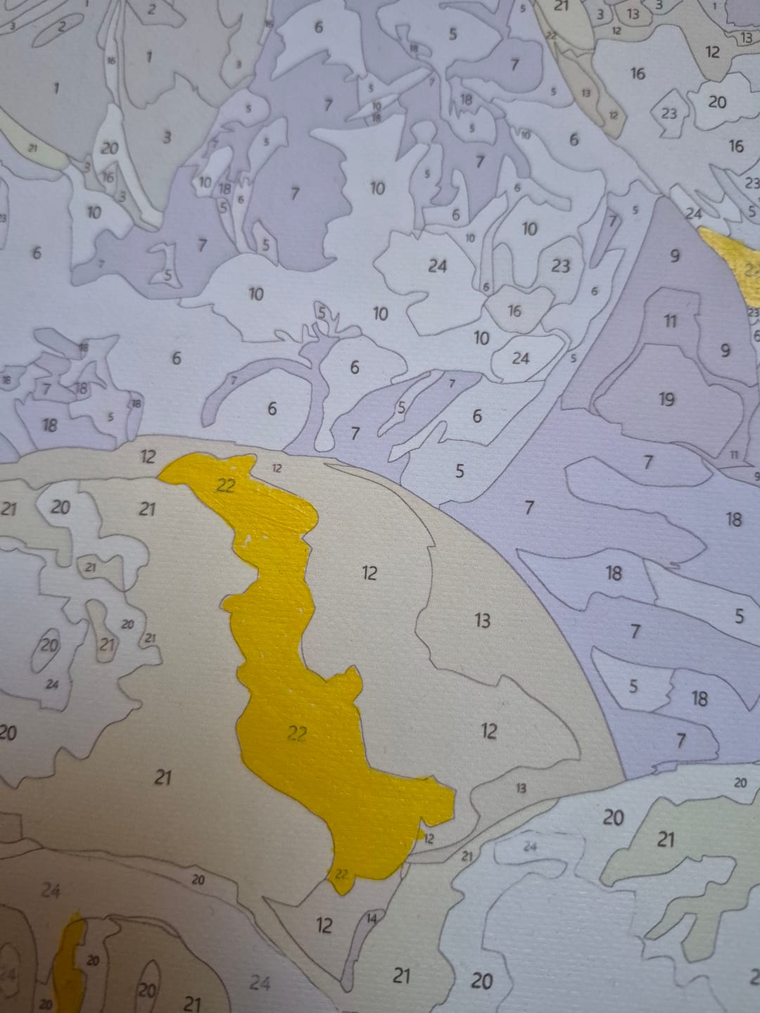 Customer photo review of Lemons and Wine | Paint by Numbers