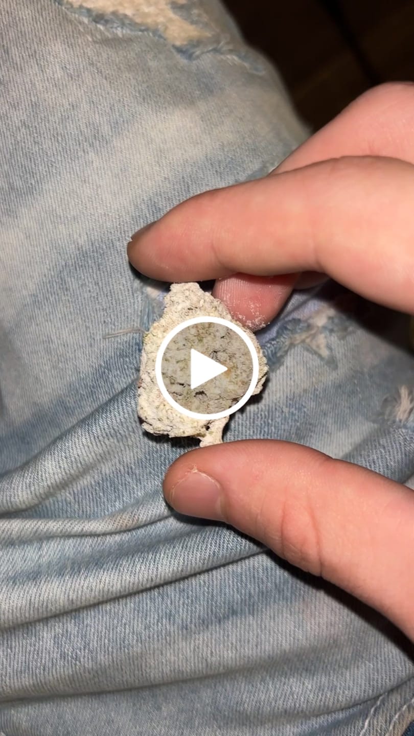 Customer video review of THCA Snowballs