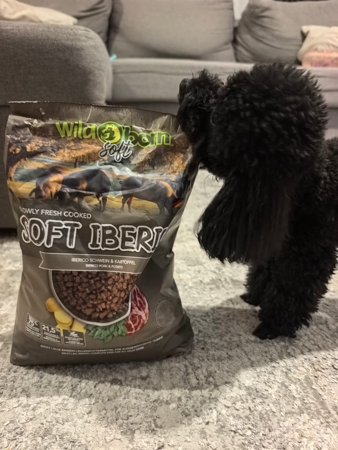 Customer photo review of Храна за кучета WILDBORN SOFT IBERICO PORK иберийско свинско месо