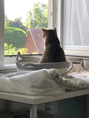 Customer's Fellnest Katzenkorb, a woven grey and white basket, holds a brown tabby cat looking out a window.