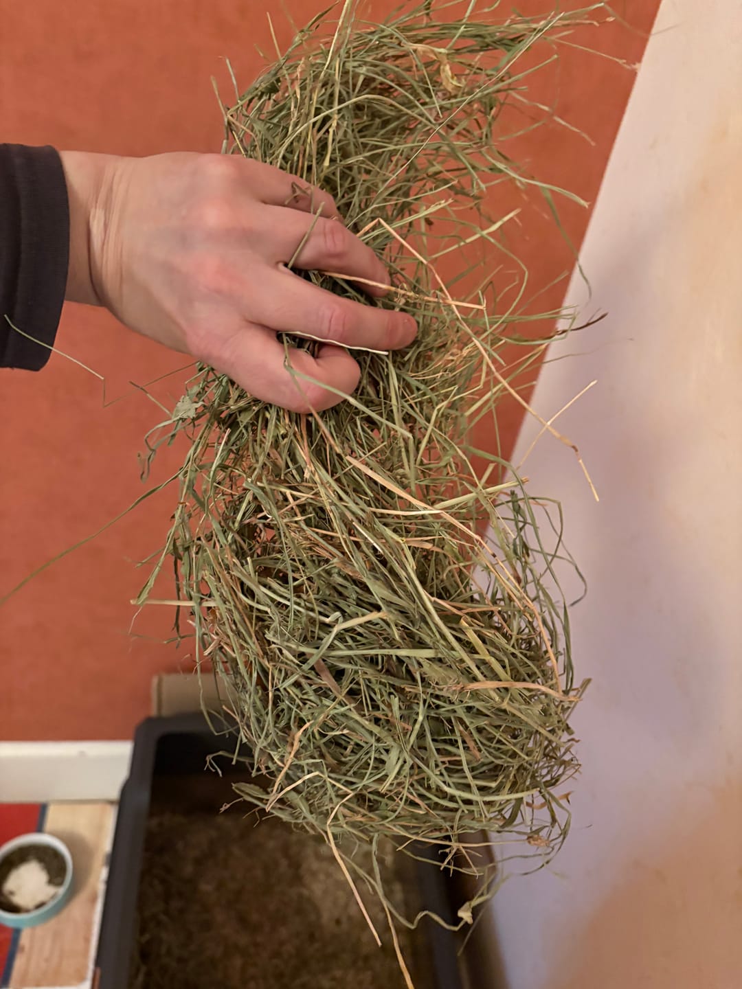 Customer photo review of Foin de Crau AOP