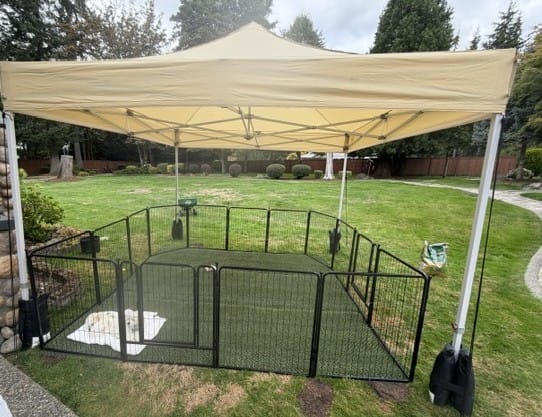 Customer photo review of ABCCANOPY S2 Crux Start® - Core Canopy Tent 10x10, 10x15, 10x20