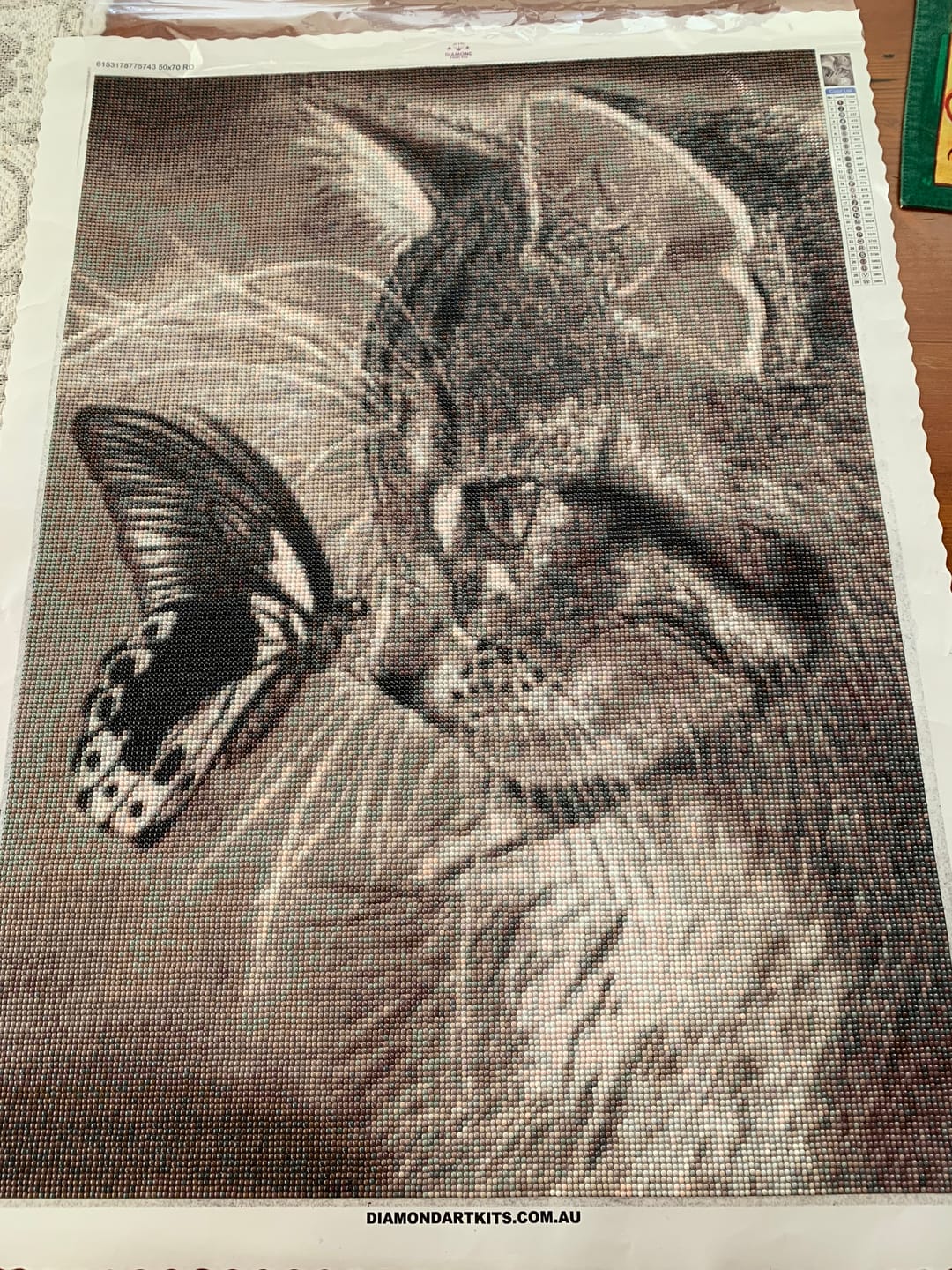Customer photo review of Full Drill - 5D DIY Diamond Painting Kits Black And White Cat And Butterfly