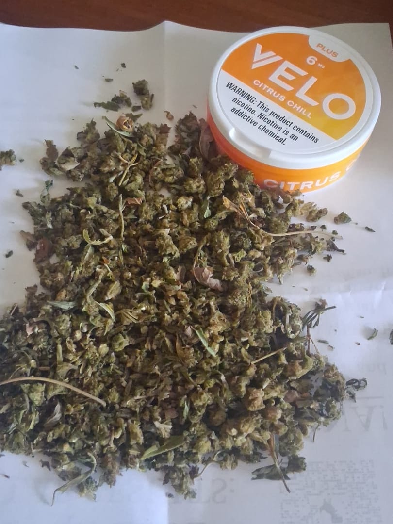 Customer photo review of Bulk THCA Flower Pounds