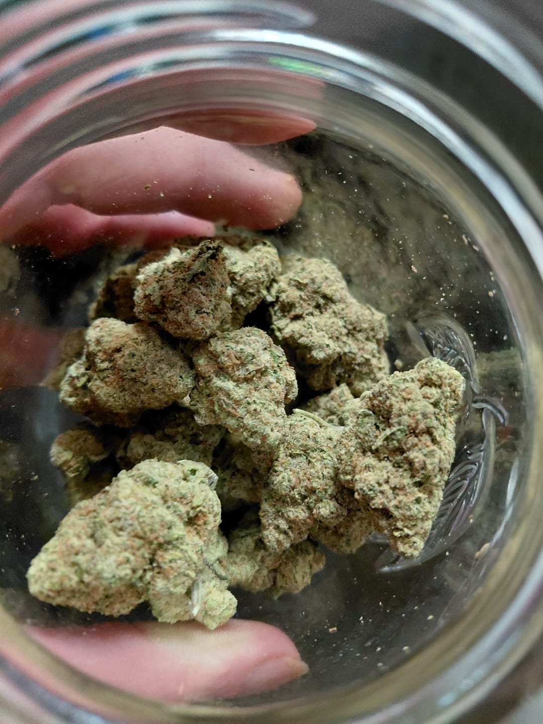 Customer photo review of Blackberry Diesel THCA Flower