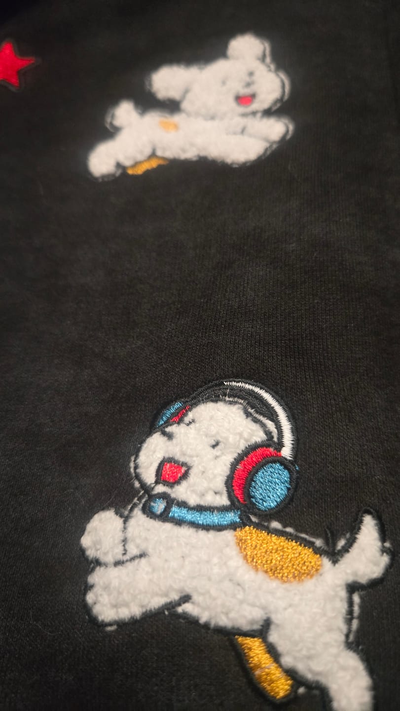 Customer photo review of [Pre-Order] Aelfric Eden Cartoon Embroidered Zip Up Hoodie