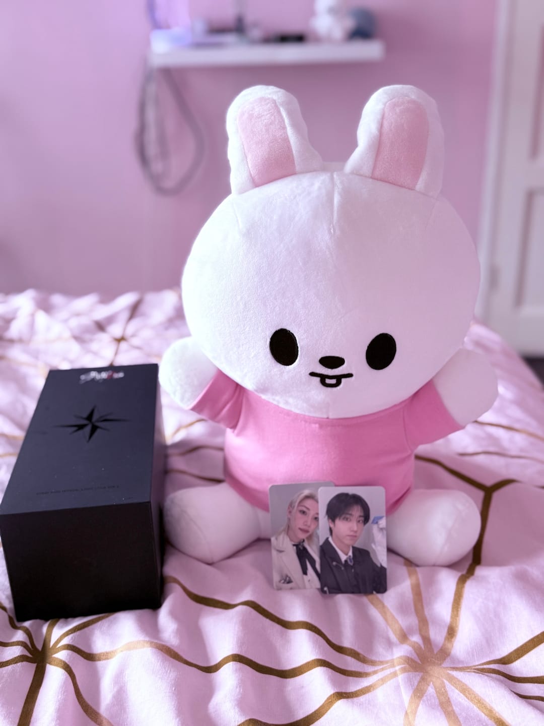 Customer photo review of STRAY KIDS [SKZOO Everywhere All Around The World in Seoul] SKZOO Plush (HUG-ME ver)