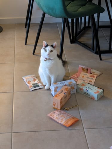 Customer's Pâtée Chat Stérilisé Sans Céréales with pouches and boxes scattered on the floor next to a white cat.