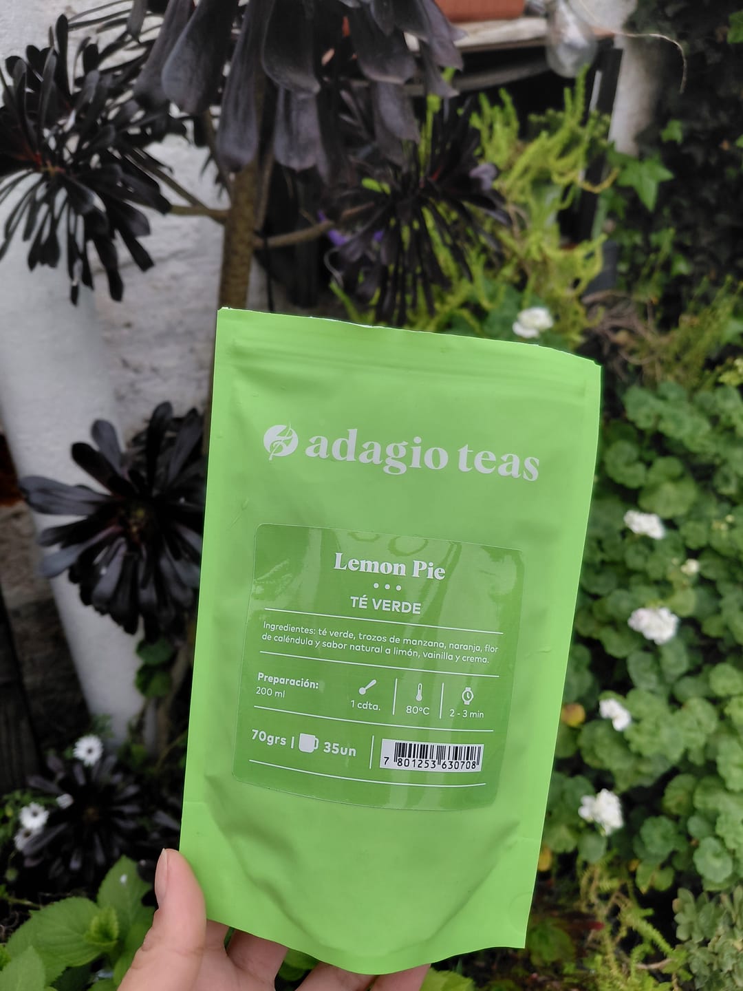 Customer photo review of Lemon Pie