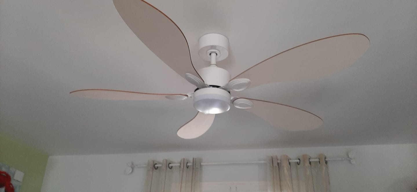 Customer photo review of Libellule | Ventilateur de plafond – Ø 137 cm