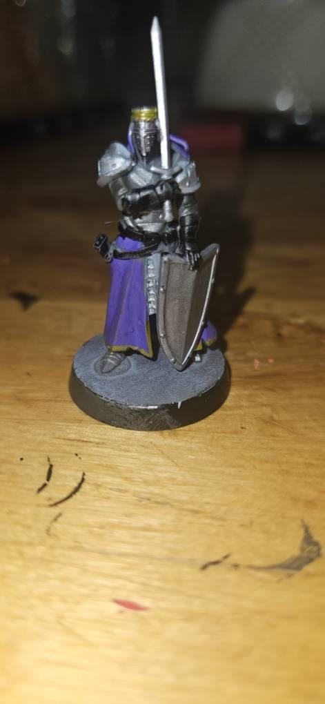 Customer photo review of Knight Templar 01