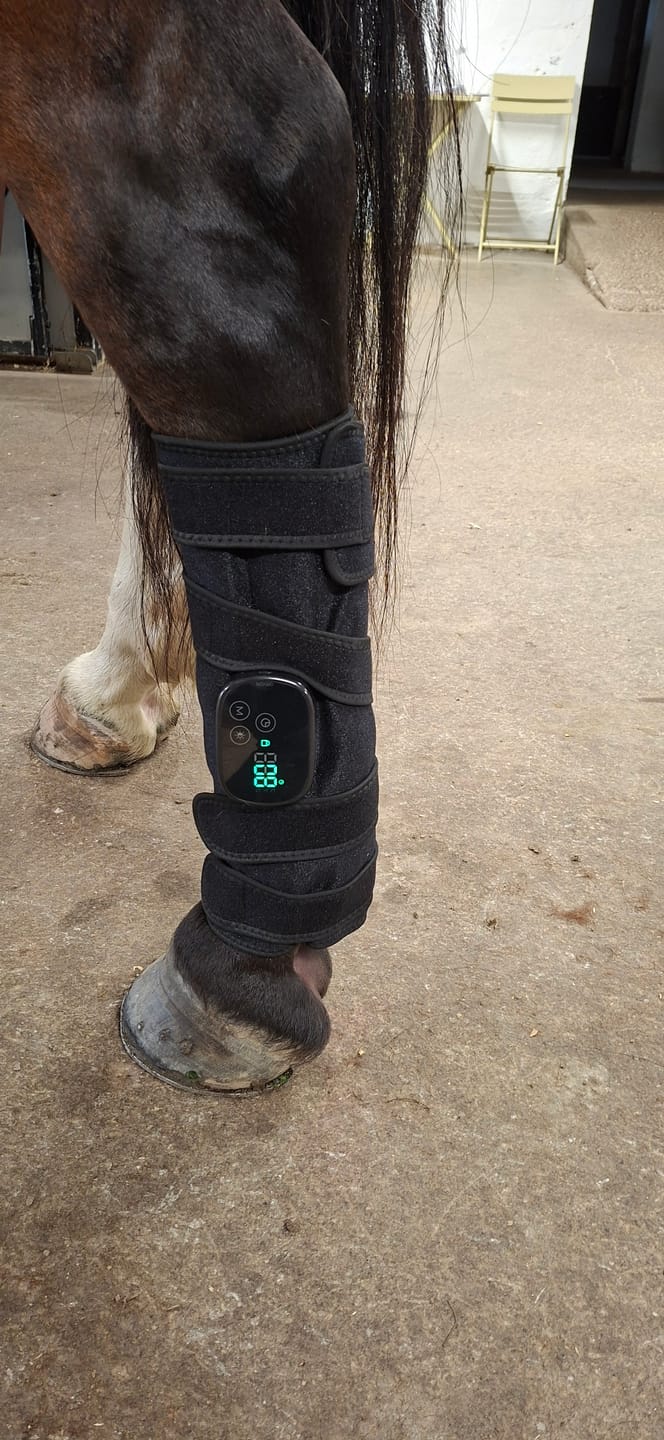 Customer photo review of EquiThera K2 — Så senan får rätt stöd att läka på djupet