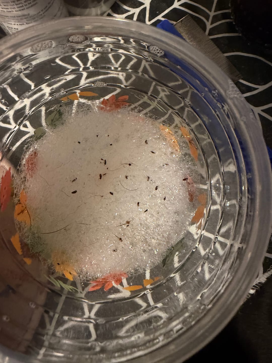 Customer photo review of FurLife™ 12 Months Flea and Tick Free