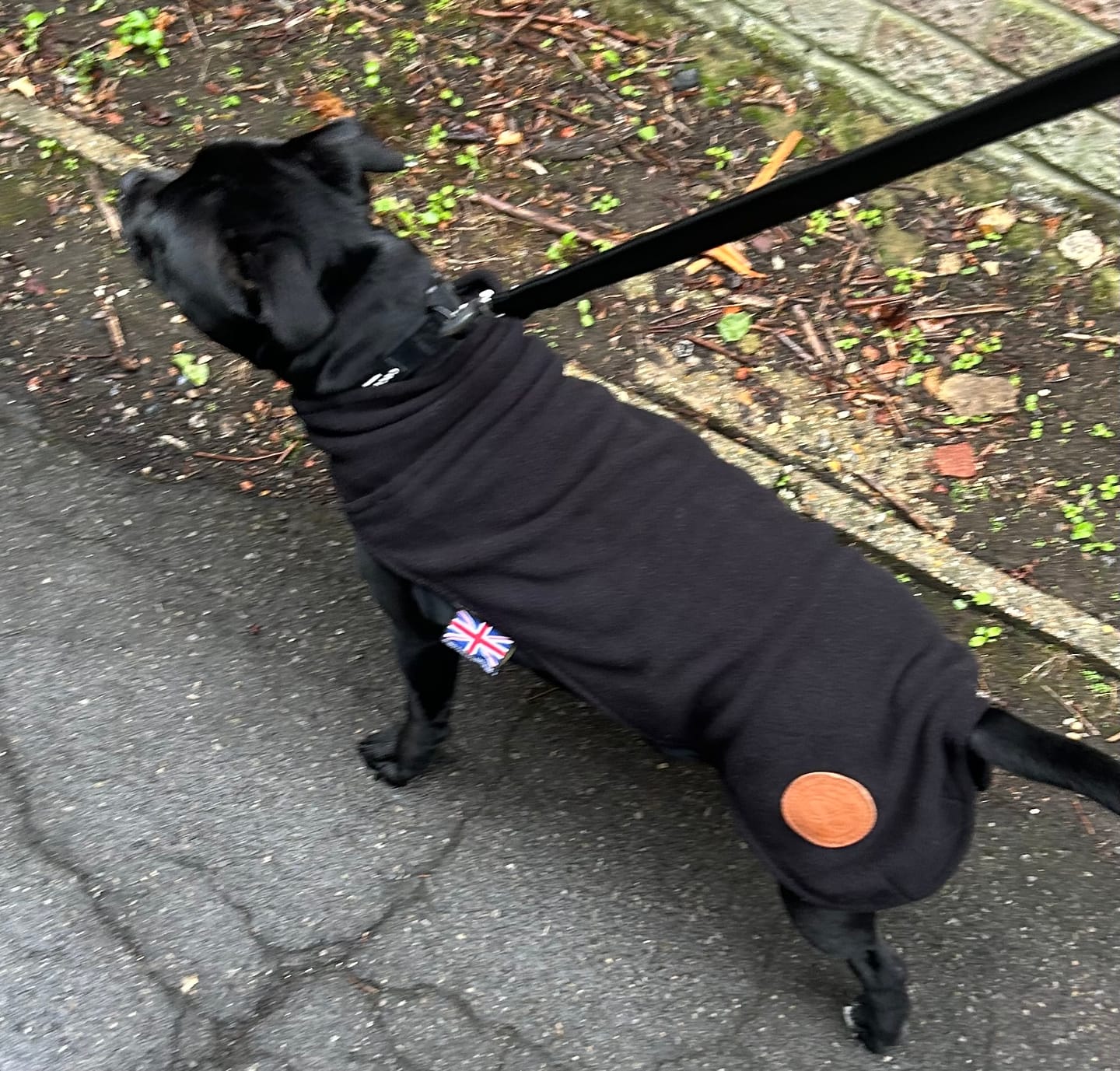 Customer photo review of Staffordshire Bull Terrier 1935® Fleece Coat - Black