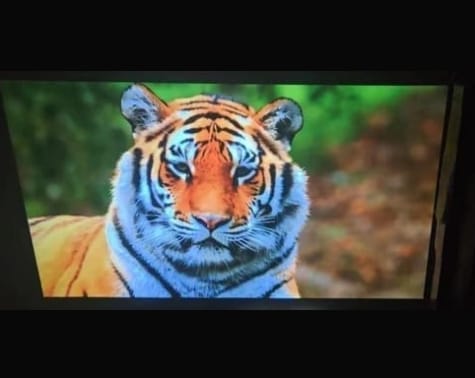 Customer photo review of Arcade Vision Projector.