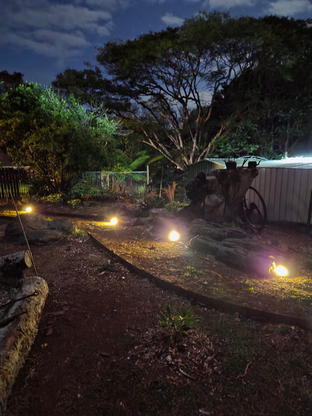 Customer photo review of SolaGarden™ Festoon Lights