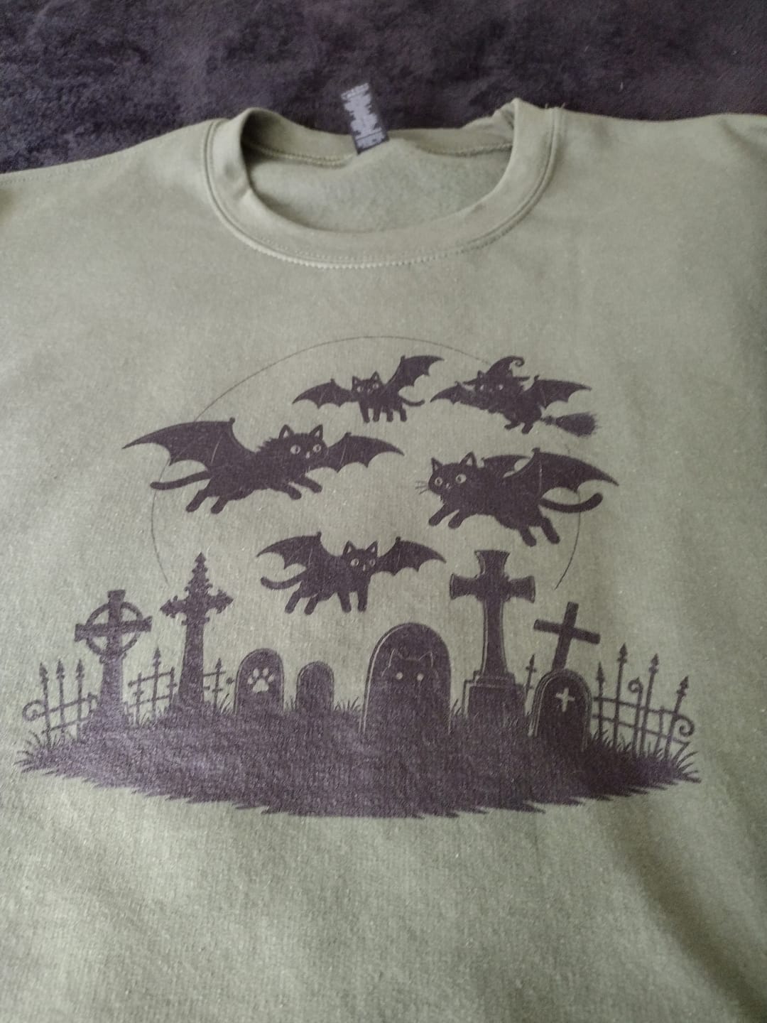Customer photo review of Cat Flight Sweatshirt