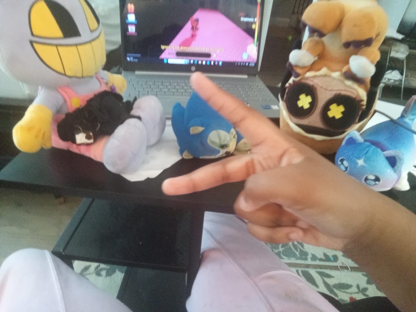 Customer photo review of Jax Plush
