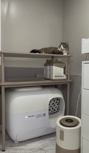 Customer photo review of Clumping Clay Litter- 24lb(11KG)