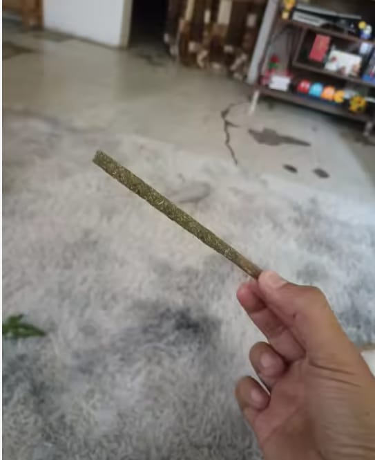 Customer photo review of Matatabi Silvervine Sticks