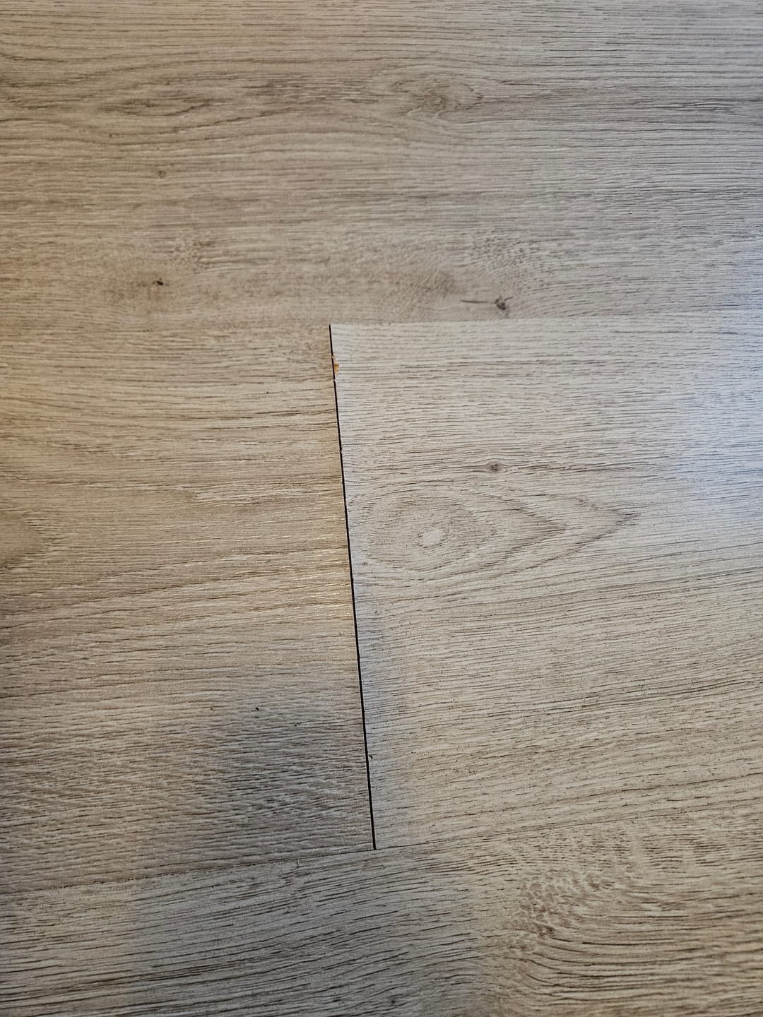 Customer photo review of TS3 Edge Stoomreiniger
