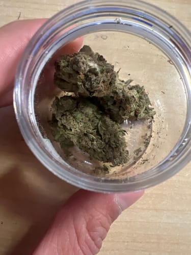 Customer's Lemonatti THC-A flower, close-up of resinous green buds held in a small, clear plastic container.