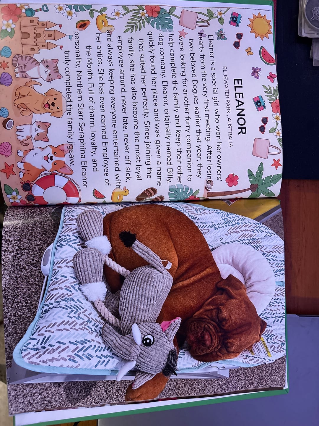 Customer photo review of Cutest Pets of Pupvote Summer 2026