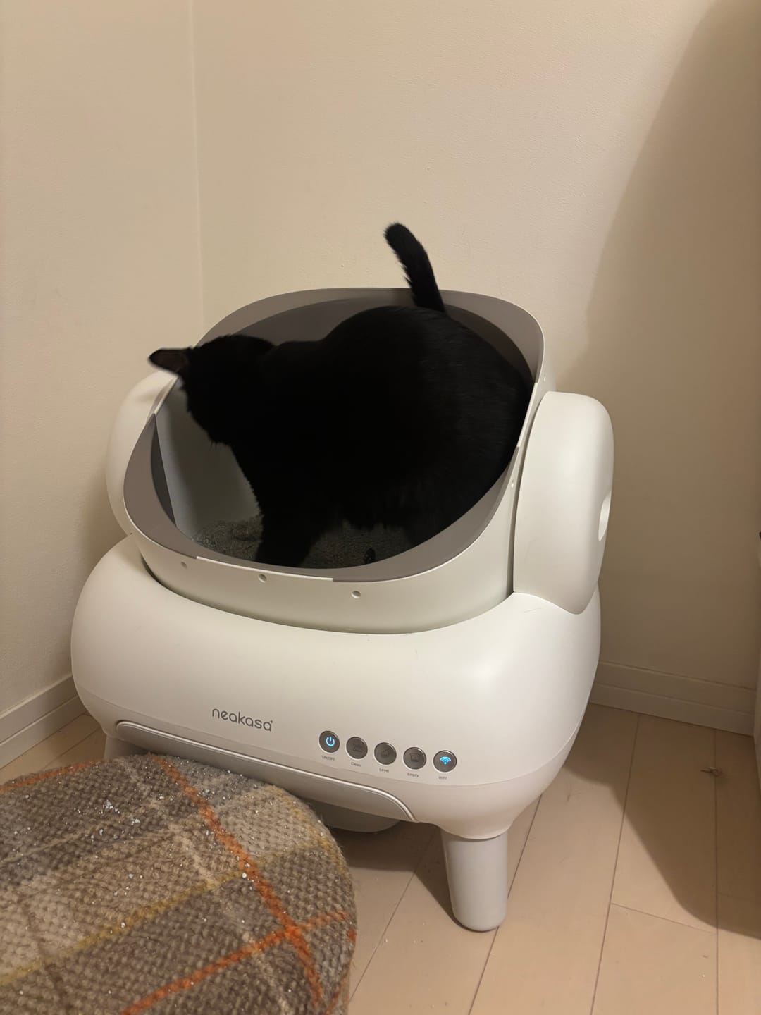Customer photo review of Neakasa M1 Lite オープン型全自動猫トイレ