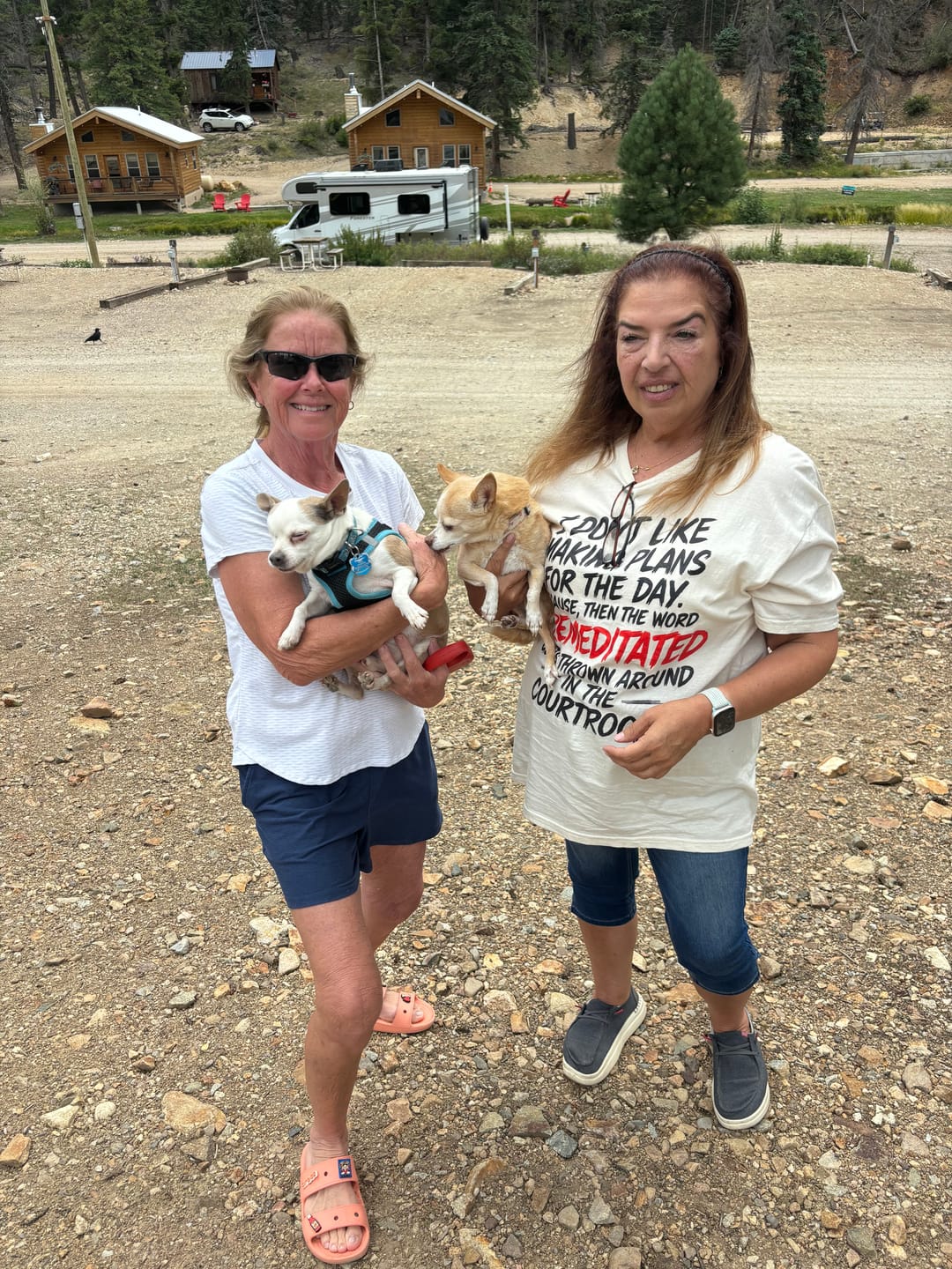 Customer photo review of Premeditated Courtroom Humor T-Shirt