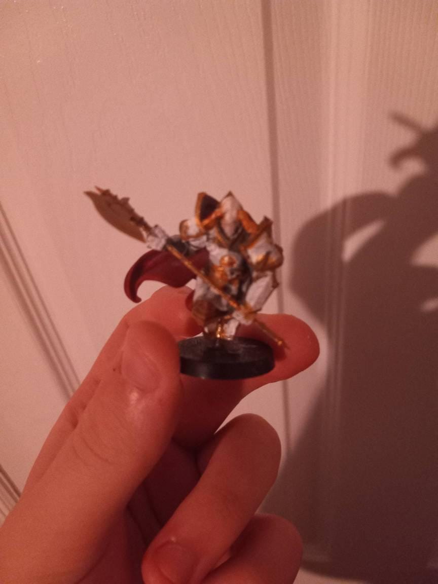 Customer photo review of Dark Knight A Chaos Warrior