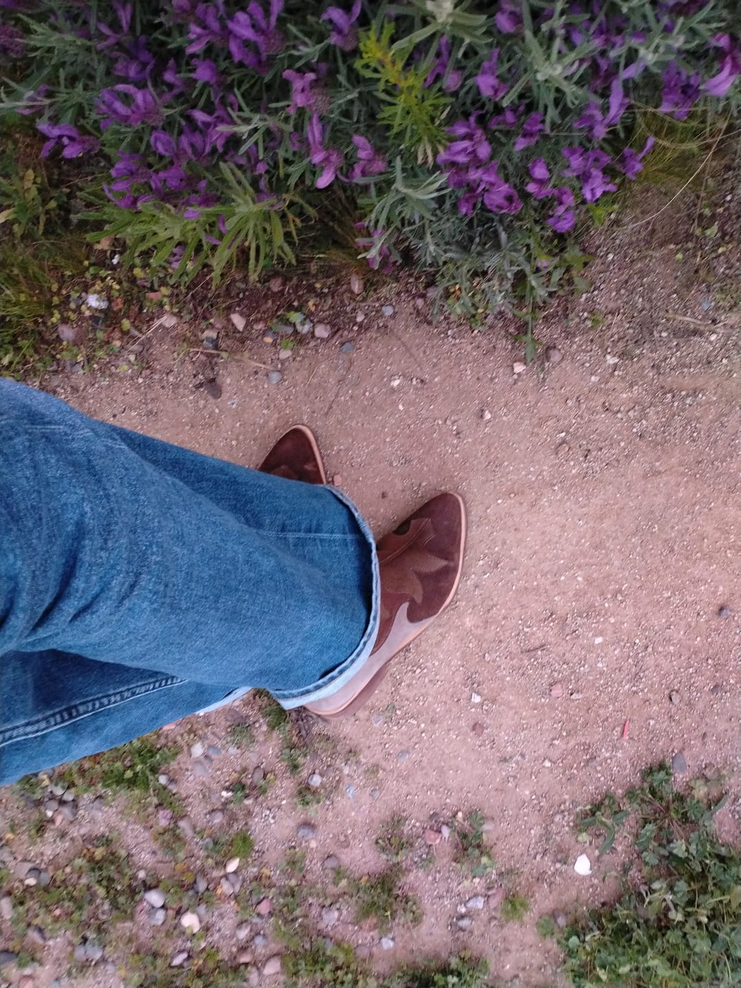 Customer photo review of Botin Mujer /  Poleo Taupe