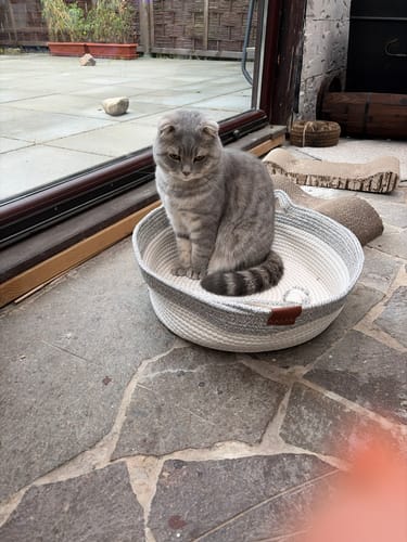 Customer's Fellnest Katzenkorb in gray and white rope, with a gray cat sitting inside on a patio floor.