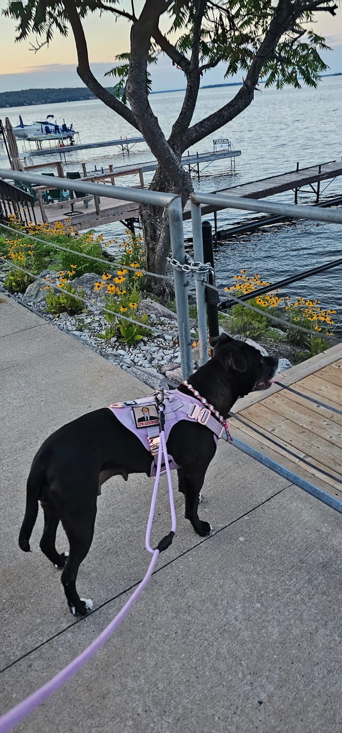 Customer photo review of Trainer Dog Leash - Buttercream