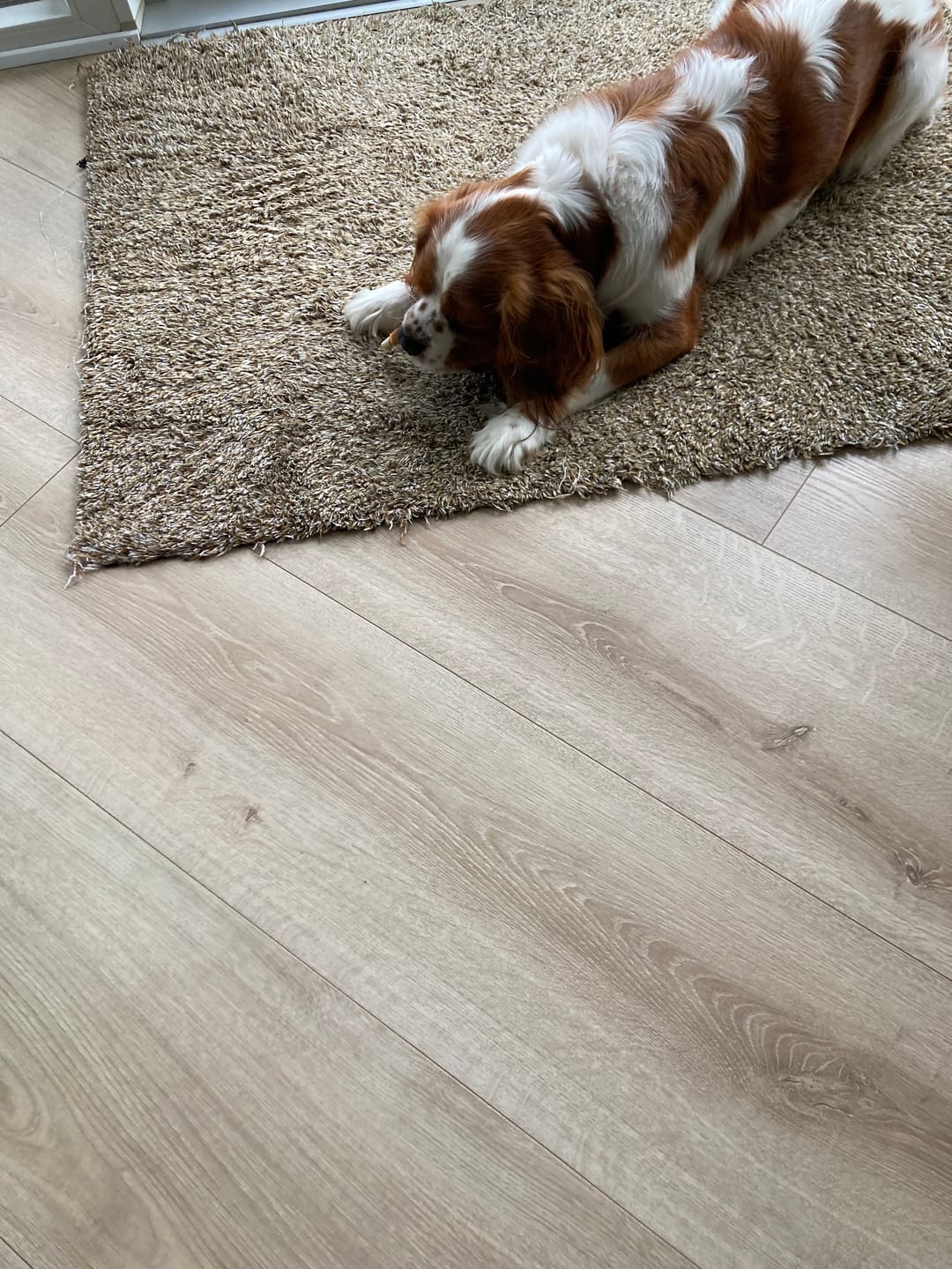 Customer photo review of Småland Duck Sticks, Valuepack (300g)