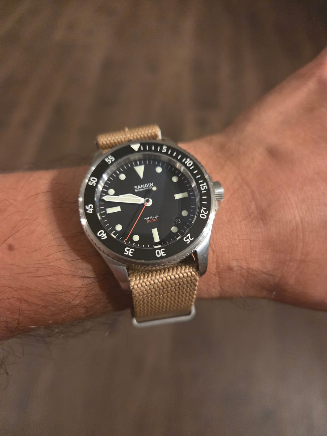 Customer photo review of Merlin (Private Release)