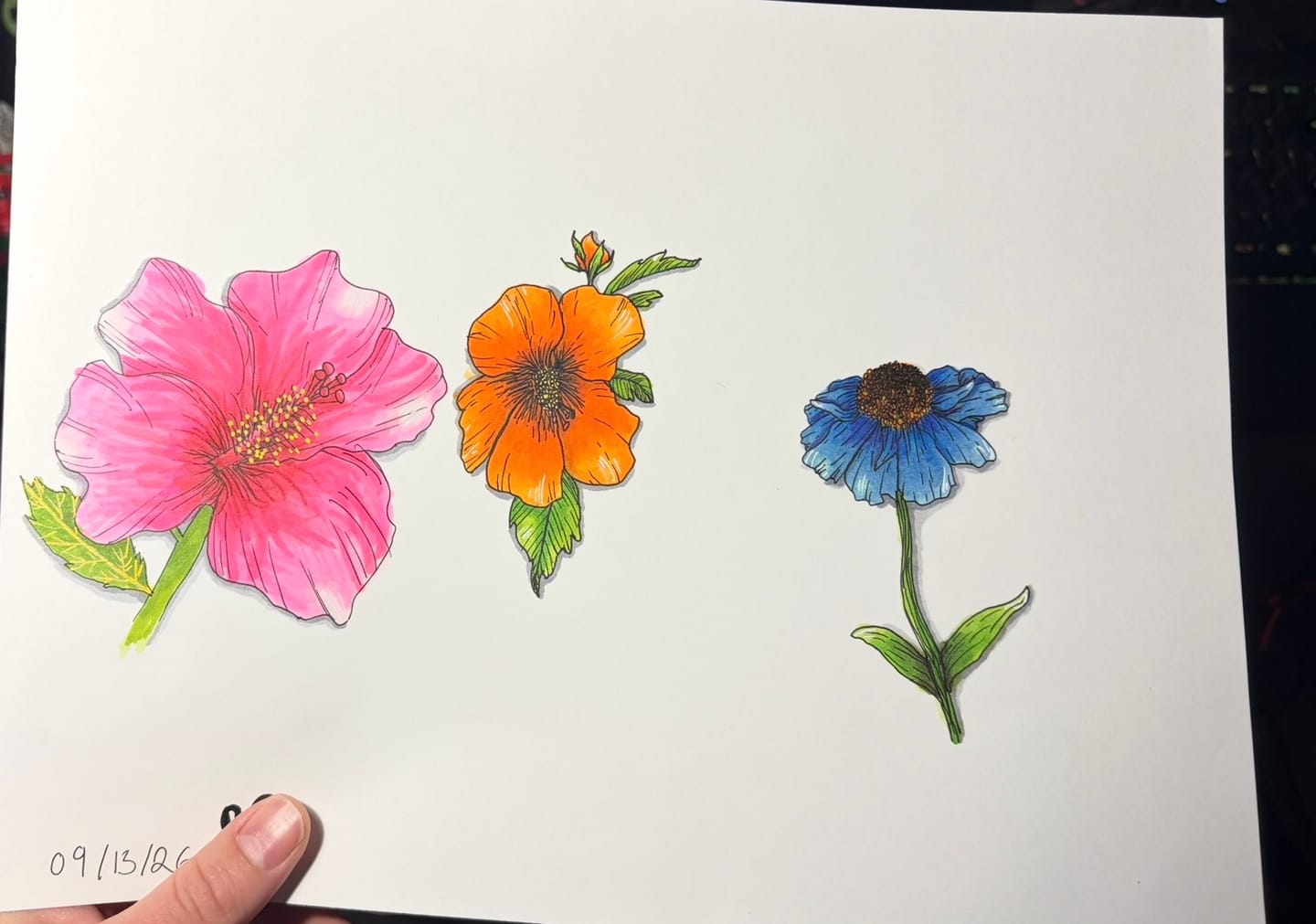 Customer photo review of Ohuhu Honolulu 216 Colors Dual Tips Alcohol Art Markers (New Color Codes)