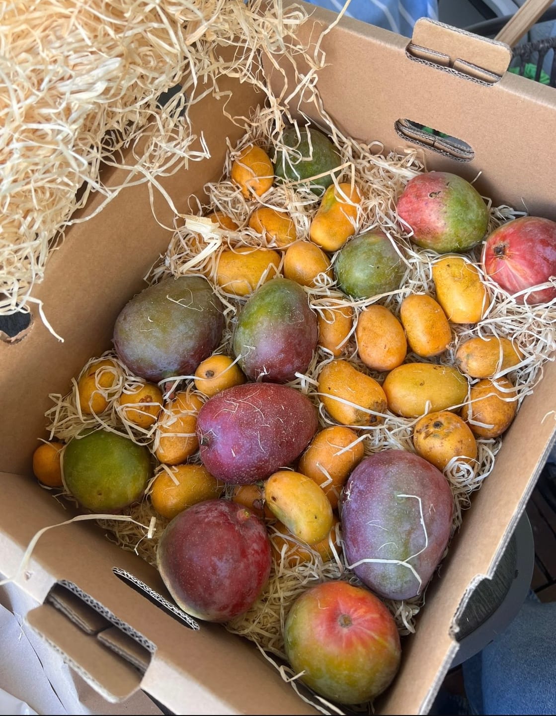 Customer photo review of Mini-Mango von Juan 3kg Retterbox %